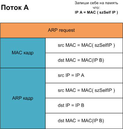 arp A